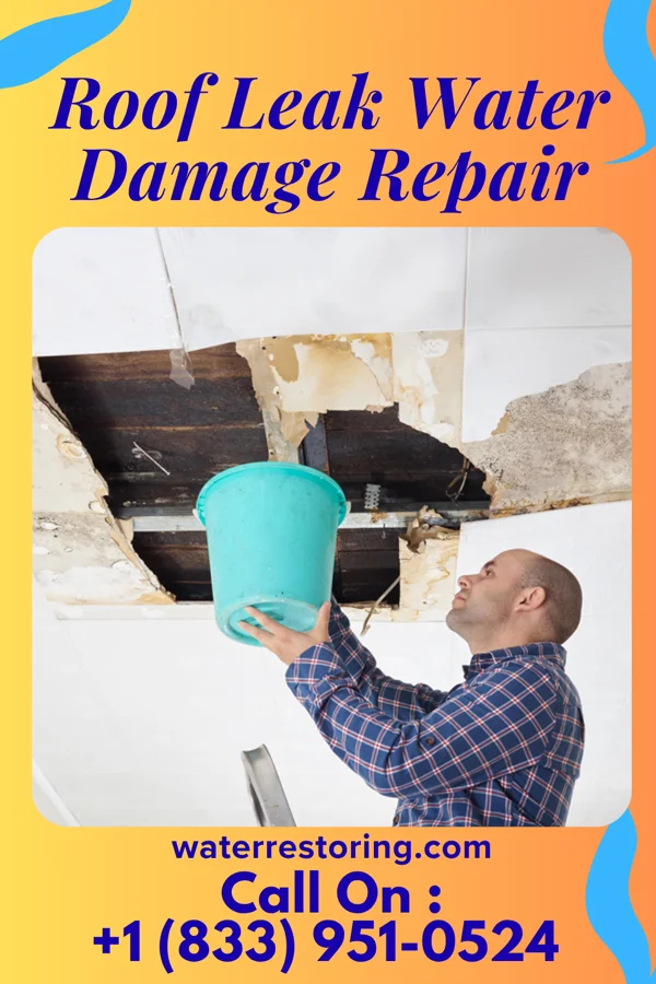 Roof Leak Water Damage Repair in Metuchen, NJ