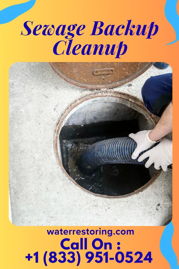 Sewage Backup Cleanup in Metuchen, NJ